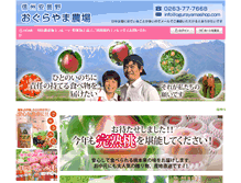 Tablet Screenshot of ogurayamashop.com